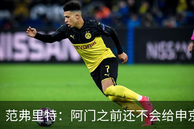 范弗里特：阿门之前还不会给申京做高吊球 他一直在成长